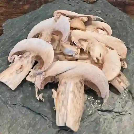 Adición Champiñones