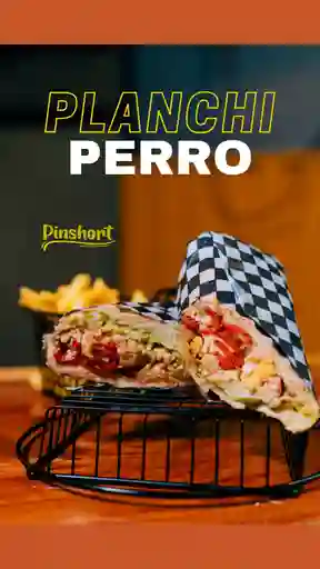 Planchi Perro Pinshort