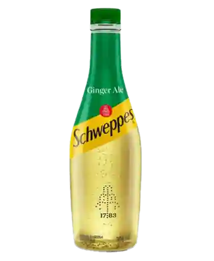 Schweppes Ginger Ale 300mls