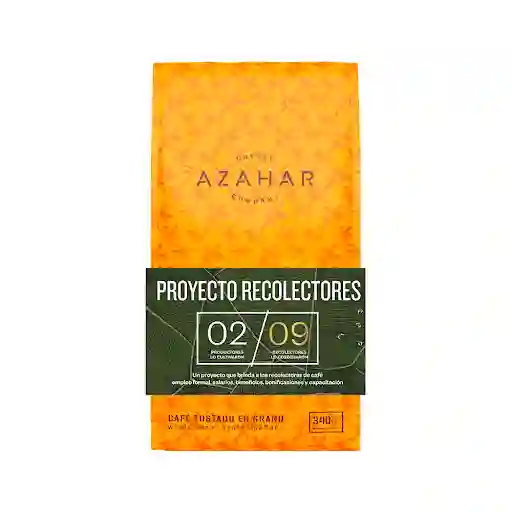 Proyecto Recolectores X 340