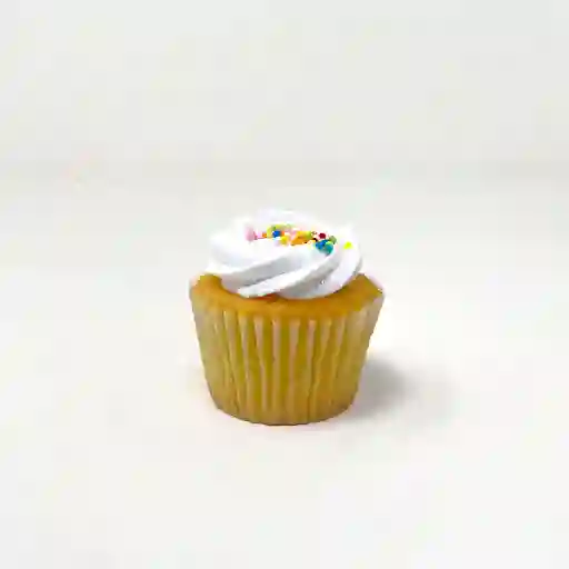 Pudin Vainilla Pudincito Pintado