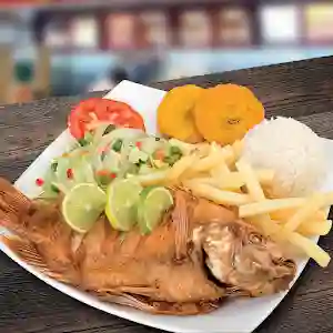 Mojarra