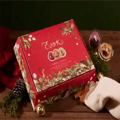 Estuche Infusiones Navidad X12