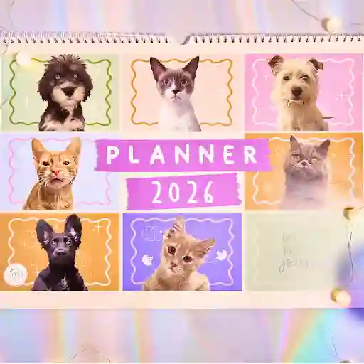 Planeador Second Chances