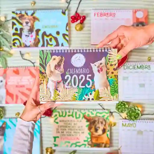 Calendario Second Chances 2025