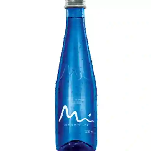 Agua Sin Gas 300