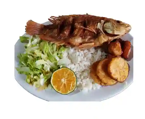 Bandeja Mojarra