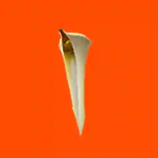 Queso Mozarella 144 Gr