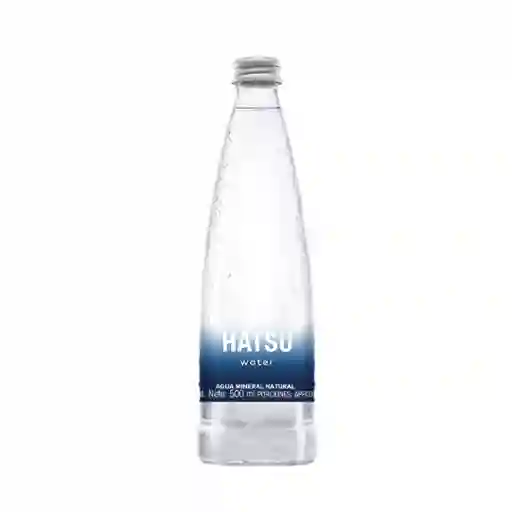 Agua Hatsu Sin Gas 300 Ml