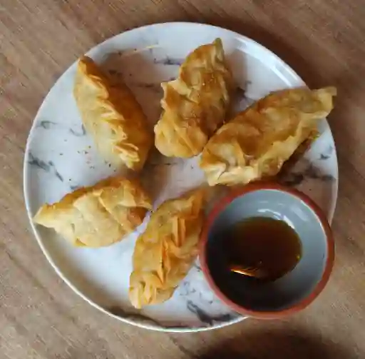 Gyozas Vegetarianas X5
