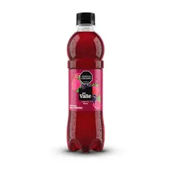 Jugo Mora 10 Oz