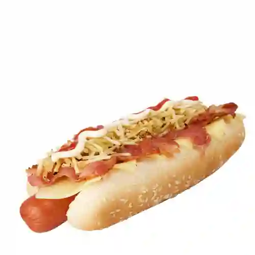 Perro Especial