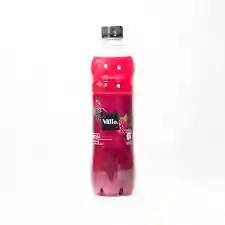 Jugo Del Valle Mora