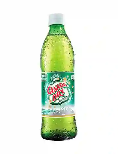 Canada Dry Ginger