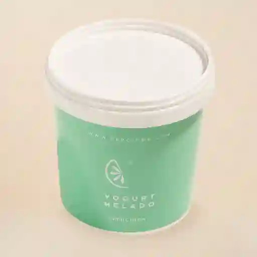 Helado Yogurt Familiar