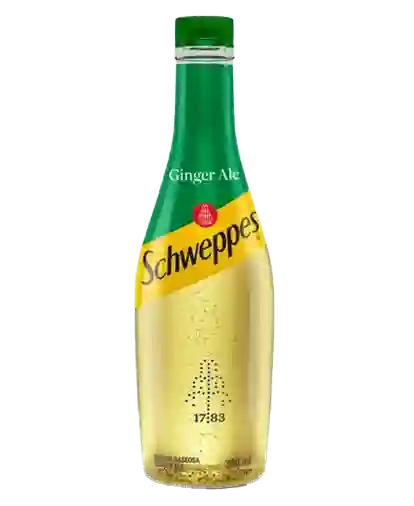 Schweppes Ginger Ale 300mls