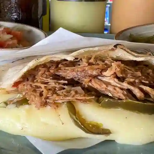 Tradicional Primavera Regular