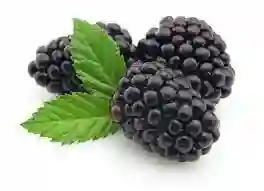 Jugo Mora En Agua