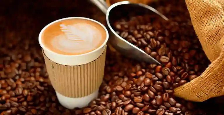 Restaurante Gusteaus