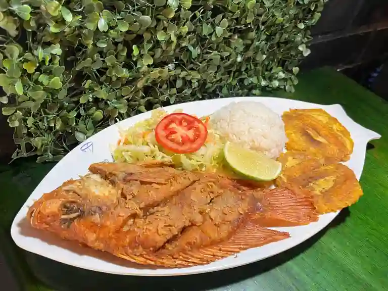 Restaruante Sabores de Mi Tierra a Domicilio Restaruante Sabores de Mi Tierra