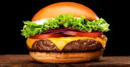 Food Lovers Sas