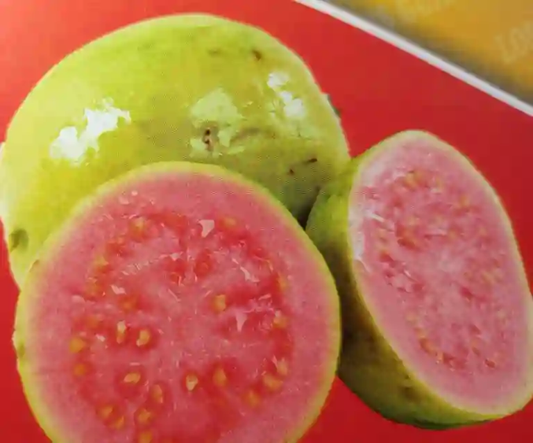 Bocadillos los Guayabos a Domicilio Bocadillos los Guayabos