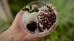 Serendipia