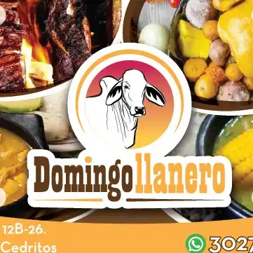 Domingo Llanero