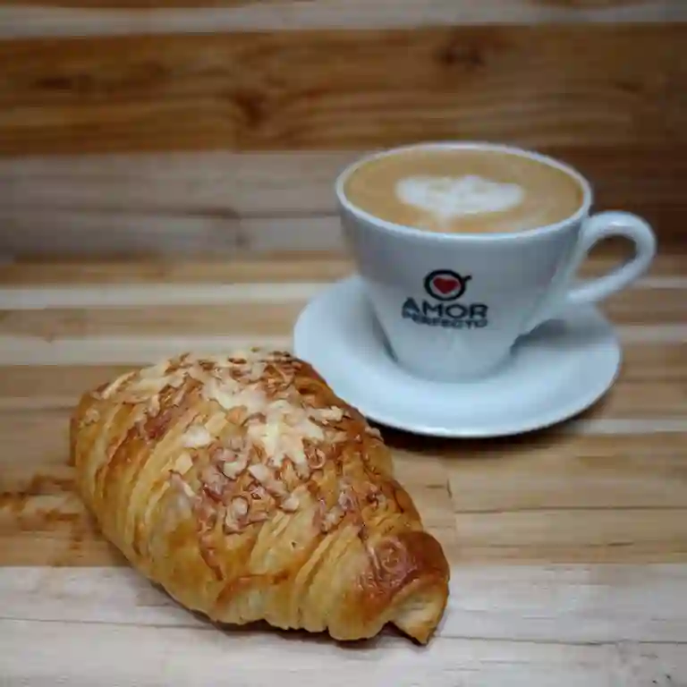 Motta Café a Domicilio Motta Café