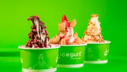 Icegurt