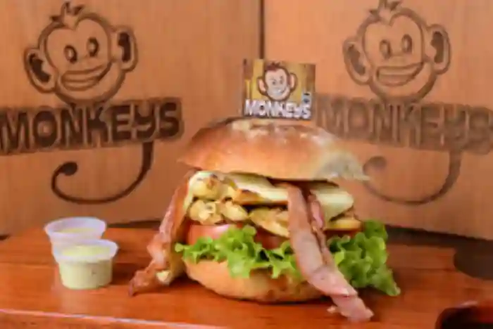 Monkeys Mx. a Domicilio Monkeys Mx.