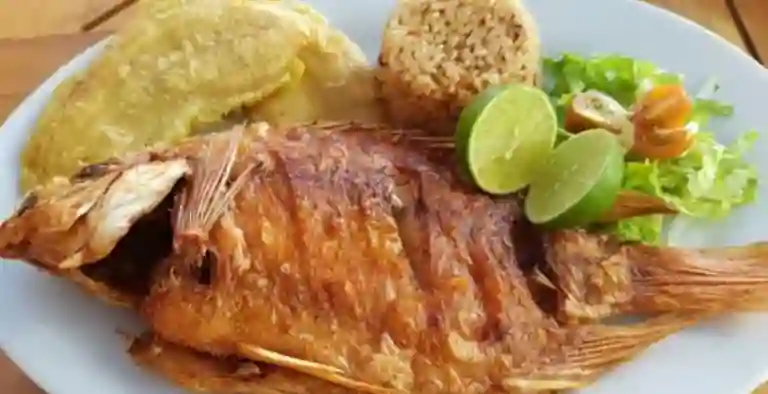 Brohouse a Domicilio Brohouse