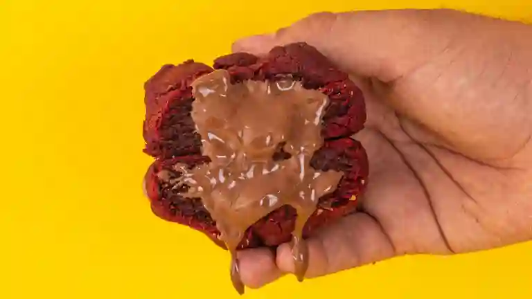 Brookie The Bakery a Domicilio Brookie The Bakery