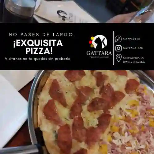 Gattara Pizza Lasagna Y Pasta