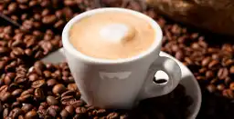 El Cafe Viajero