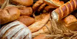 Panaderia Calidad