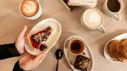 Toco Madera Coffe Lab
