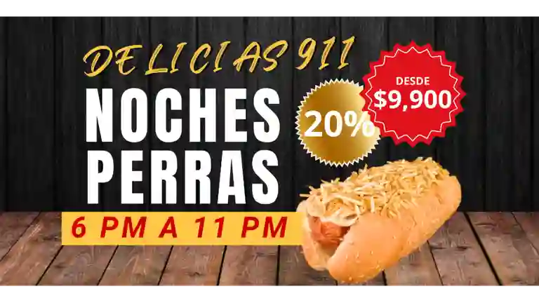 Delicias 911 Hamburguesas