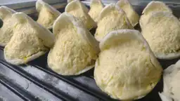 Costiarepas