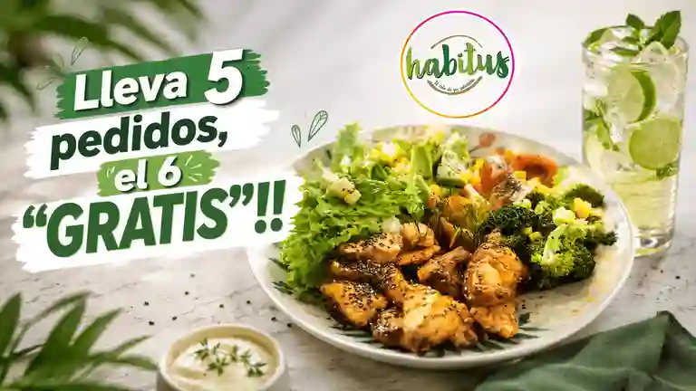 Habitus Arte Saludable a Domicilio Habitus Arte Saludable