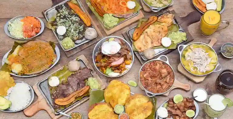 Santos Frijoles Bog a Domicilio Santos Frijoles Bog