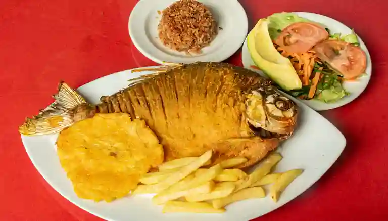 Restaurante Choco a Domicilio Restaurante Choco