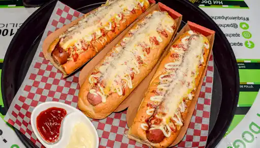 Apache Dogs Express