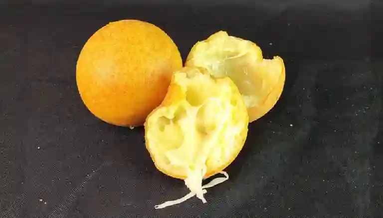 Buñueleria a Domicilio Buñueleria