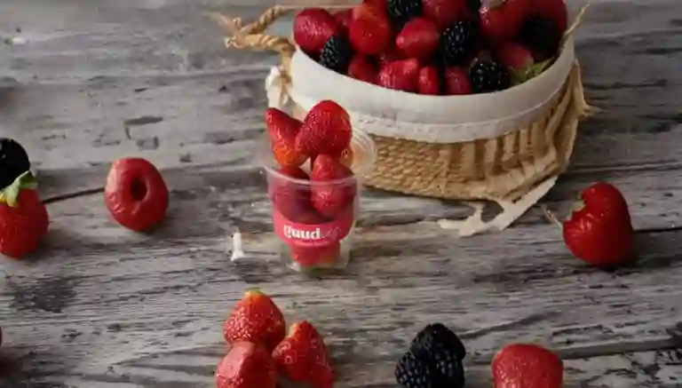 Guudies a Domicilio Guudies