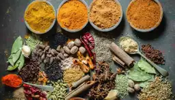 Indian Restaurant Flor de Loto