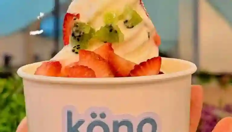 Kono Villavicencio a Domicilio Kono Villavicencio