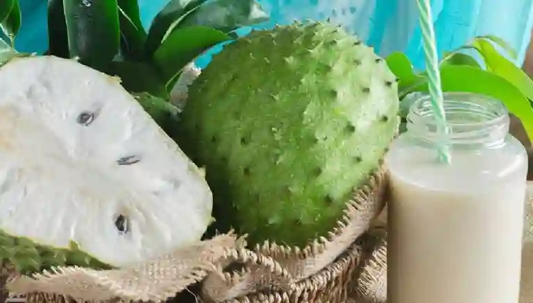 Guanábanazo la Esperanza a Domicilio Guanábanazo la Esperanza