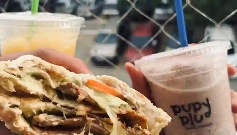 Pupyplu a Domicilio Pupyplu