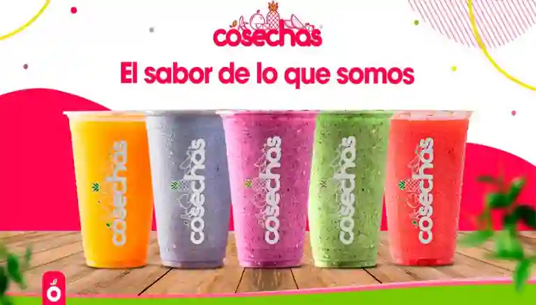 Cosechas - Batidos a Domicilio Cosechas - Batidos